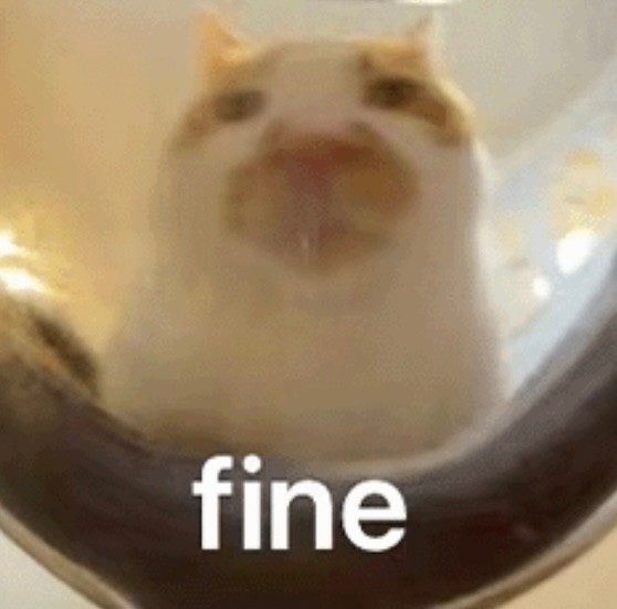 用户提供的猫咪参考图,含 fine 文字